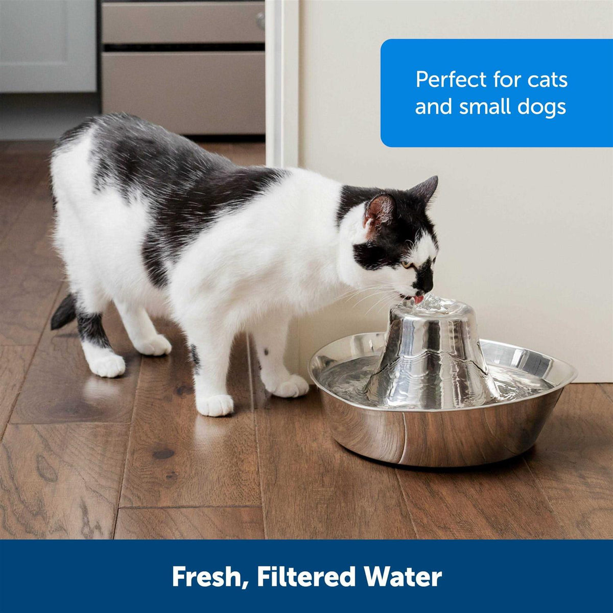 Stainless Pet Fountain H908694