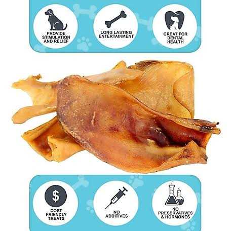 Large Whole Pig Ears Dog Chew Treats P742