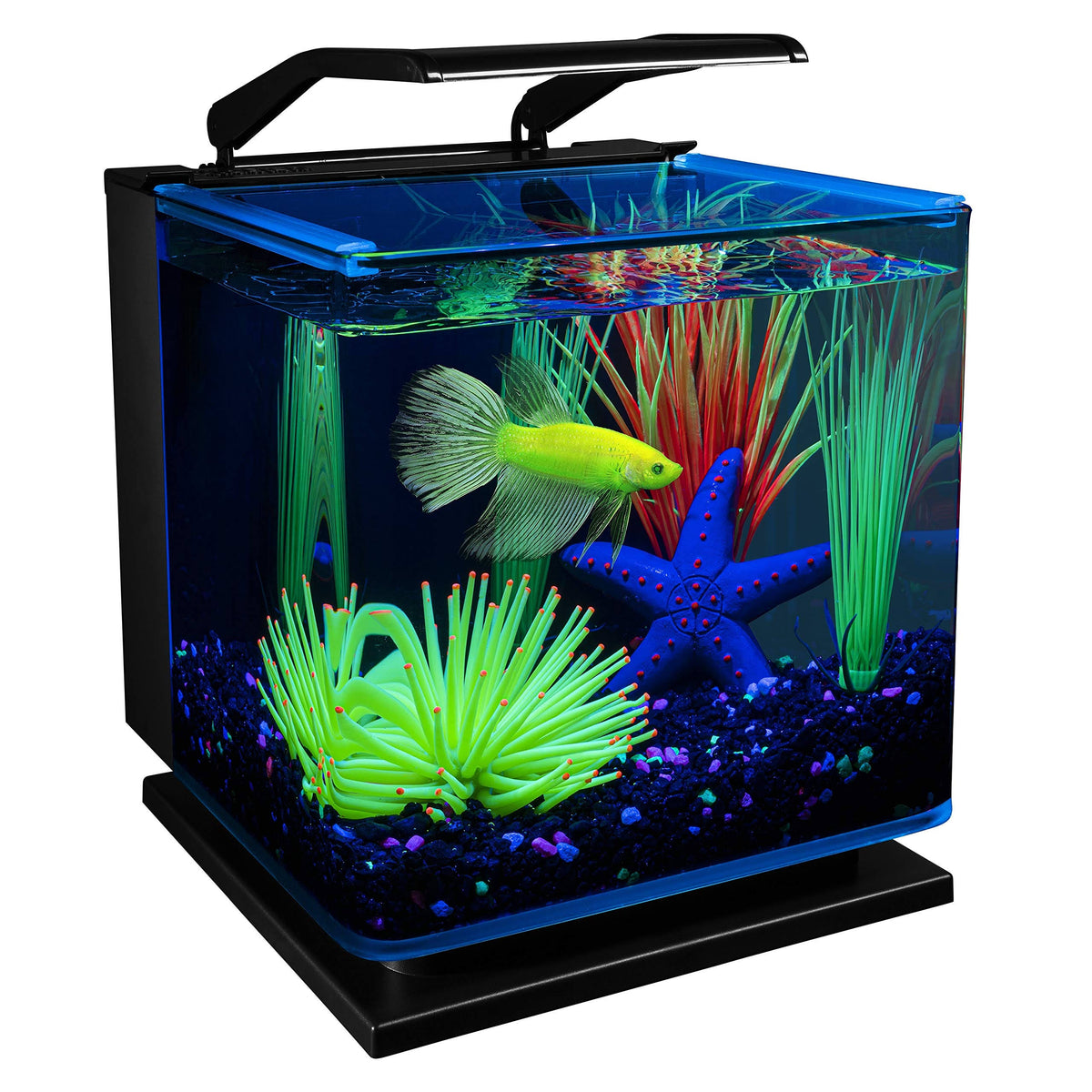 Betta Glass Aquarium Kit 3gal S4509