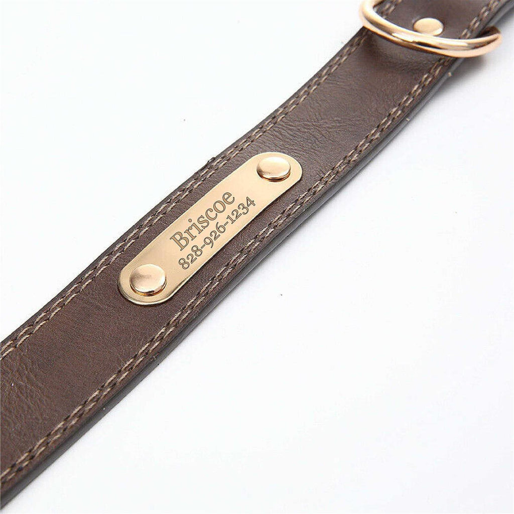 Personalized Engraved Soft Leather Dog Collar J928