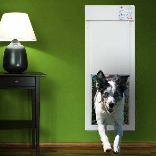 Motorized Pet Door Z139653