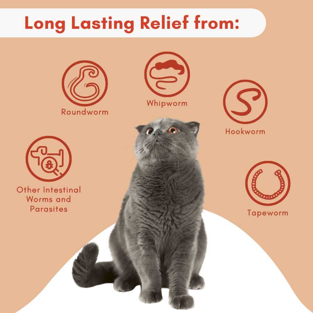 Broad Spectrum Dewormer for Cats and Kittens D953953