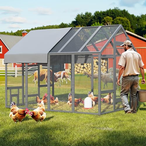 Large Wood Chicken Coop with Nesting Box and Run W731