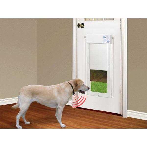 Motorized Pet Door Z139653