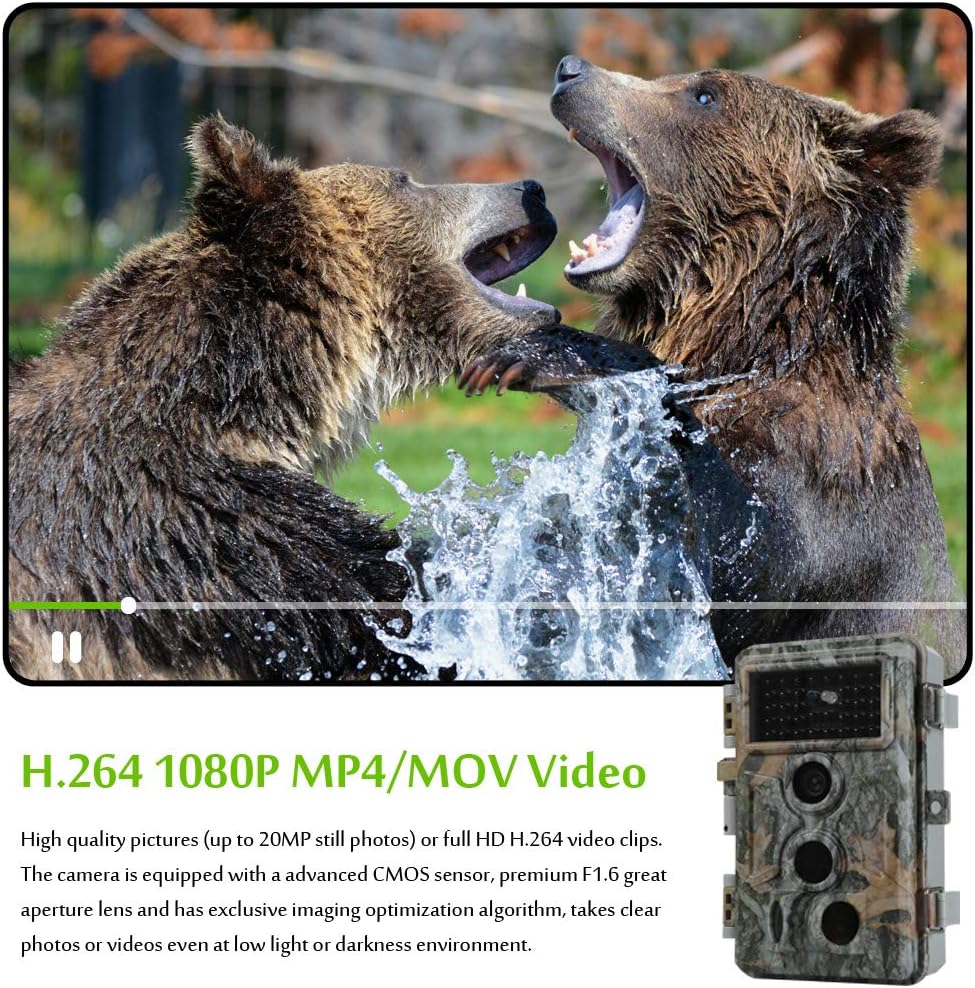 20MP 1080P Night Vision Motion Detection IP66 Waterproof Trail & Hunting Camera Pack of 2 P92139