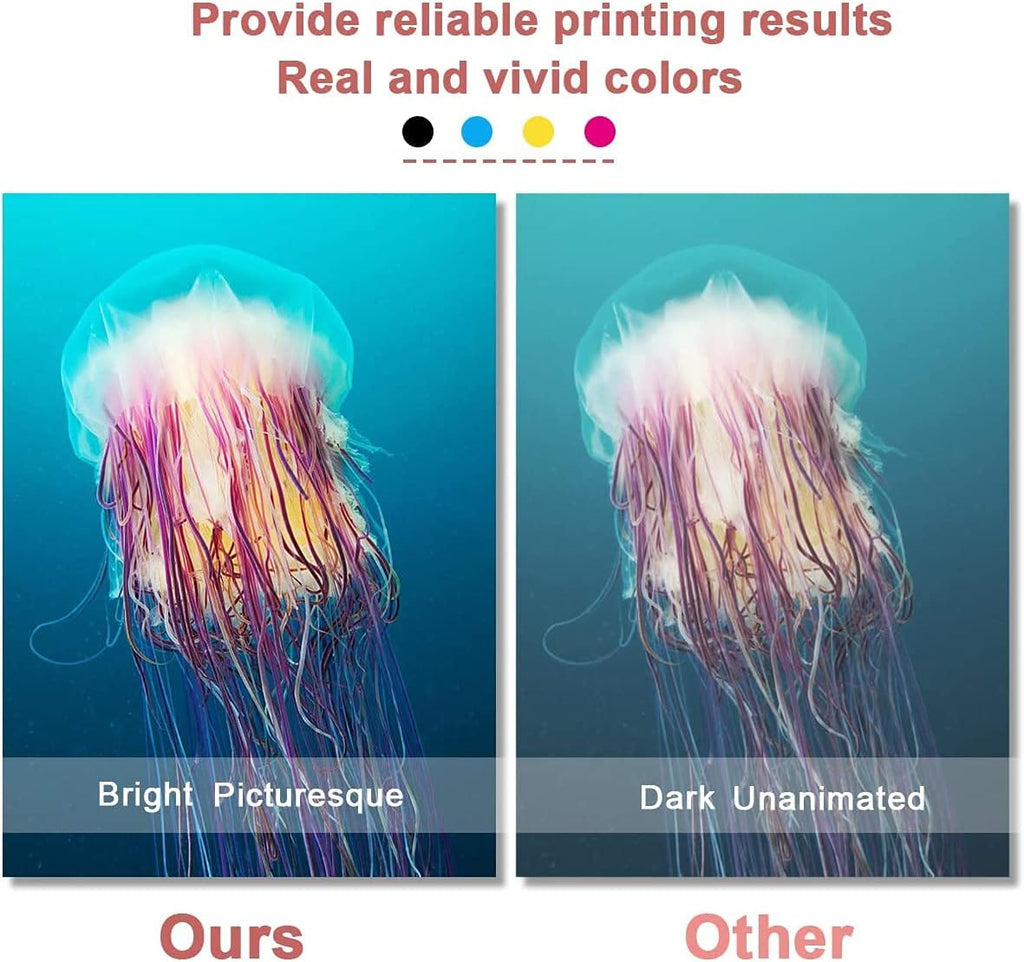4 Pack Remanufactured Ink Cartridge 2 Black 2 Tri-Color C98876