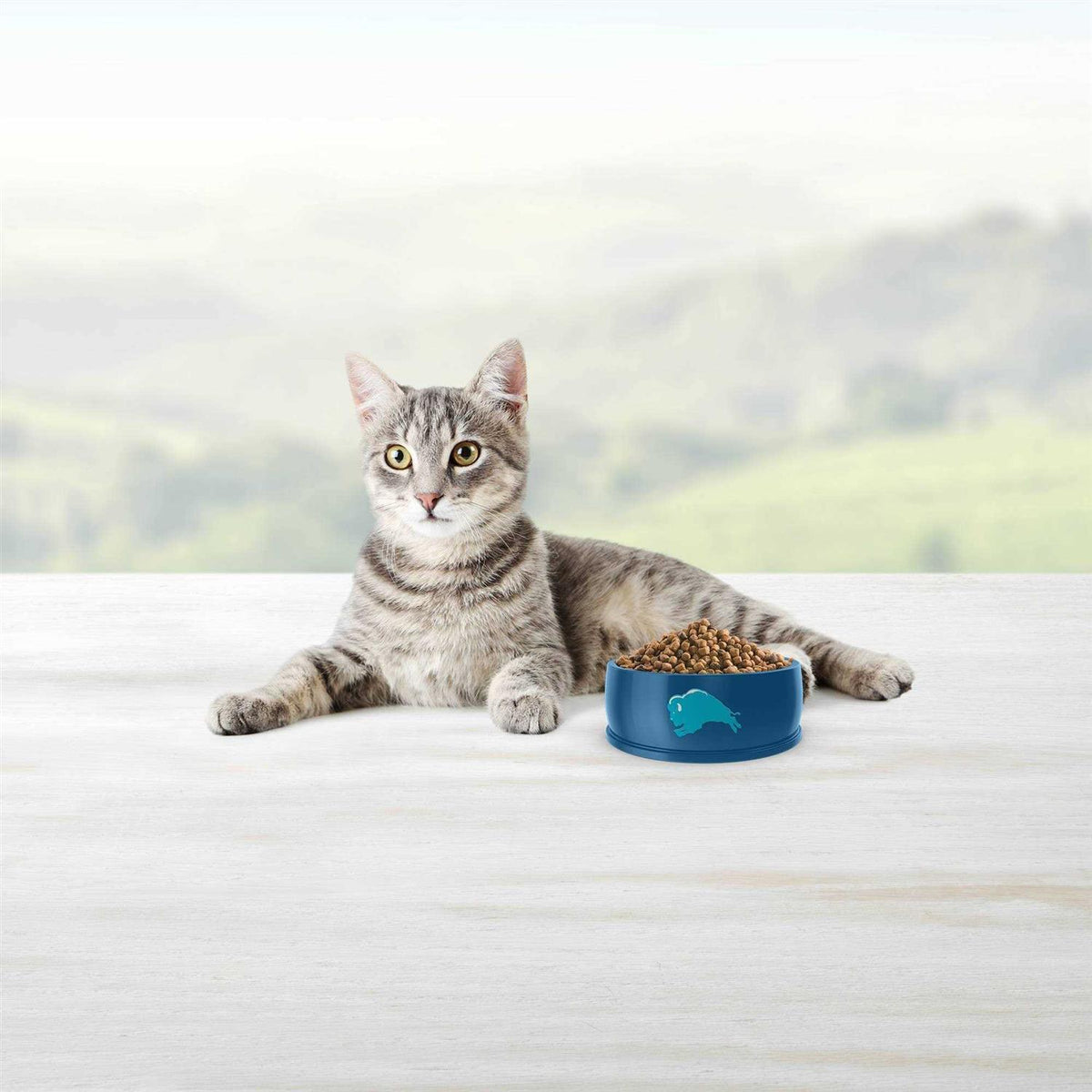 Blue Weight Control Adult Cat Dry Food Q6139