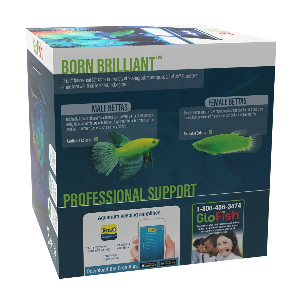 Betta Glass Aquarium Kit 3gal S4509