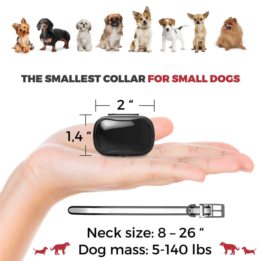 Extra Small Dog Training Collar with Remote X162