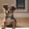 Wall Entry Dual Flap Dog Door J55012