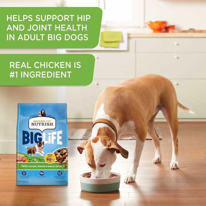 Dry Dog Food Y23048