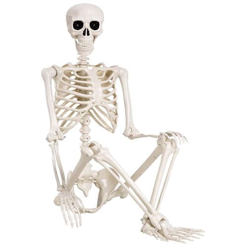 5.4 ft Life Size Posable Plastic Skeleton D387
