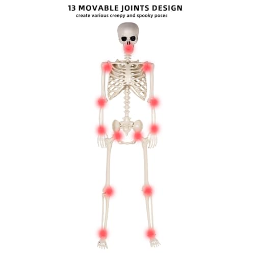 5.4 ft Life Size Posable Plastic Skeleton D387