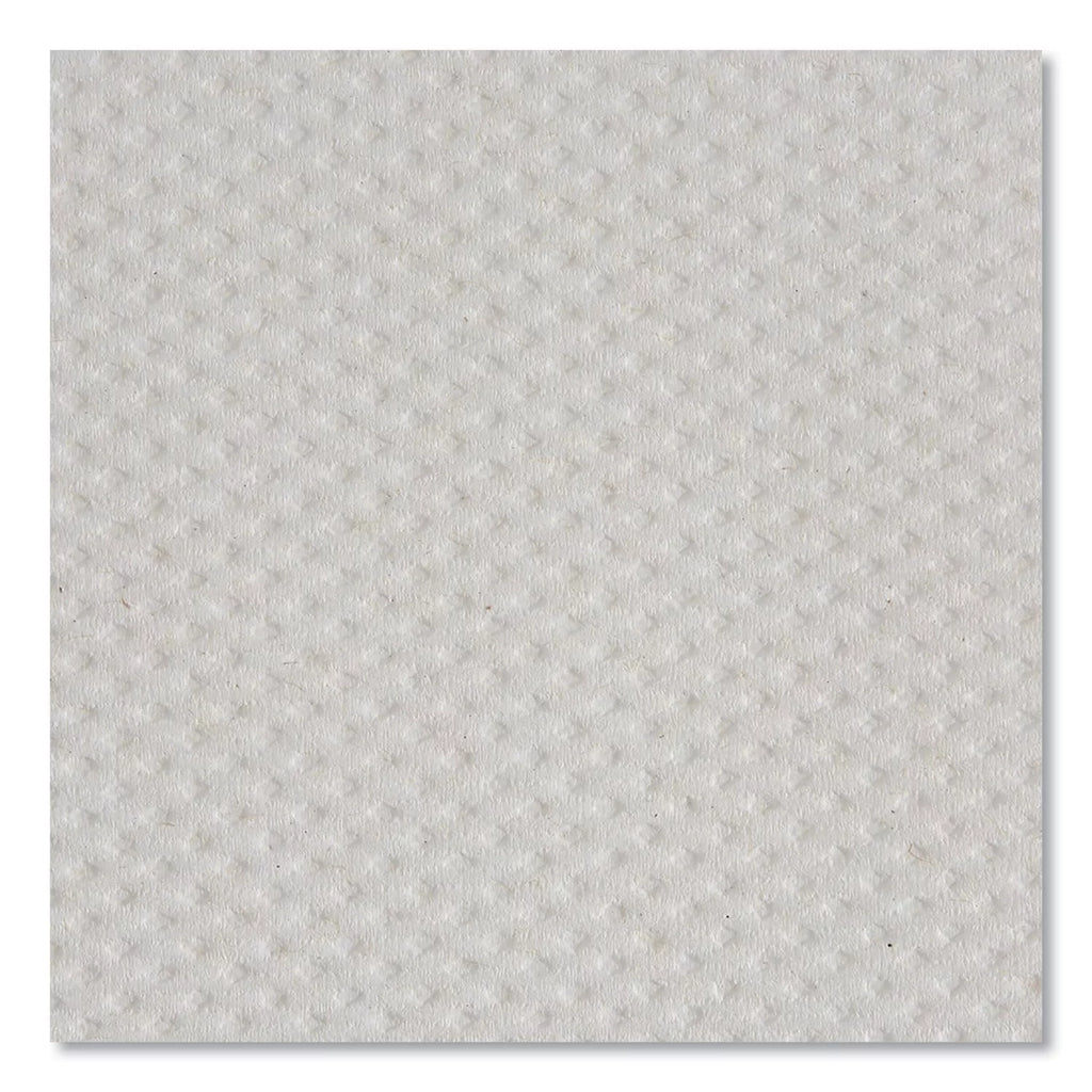Blue Select 2-Ply Paper Towels, 12 Rolls B59880
