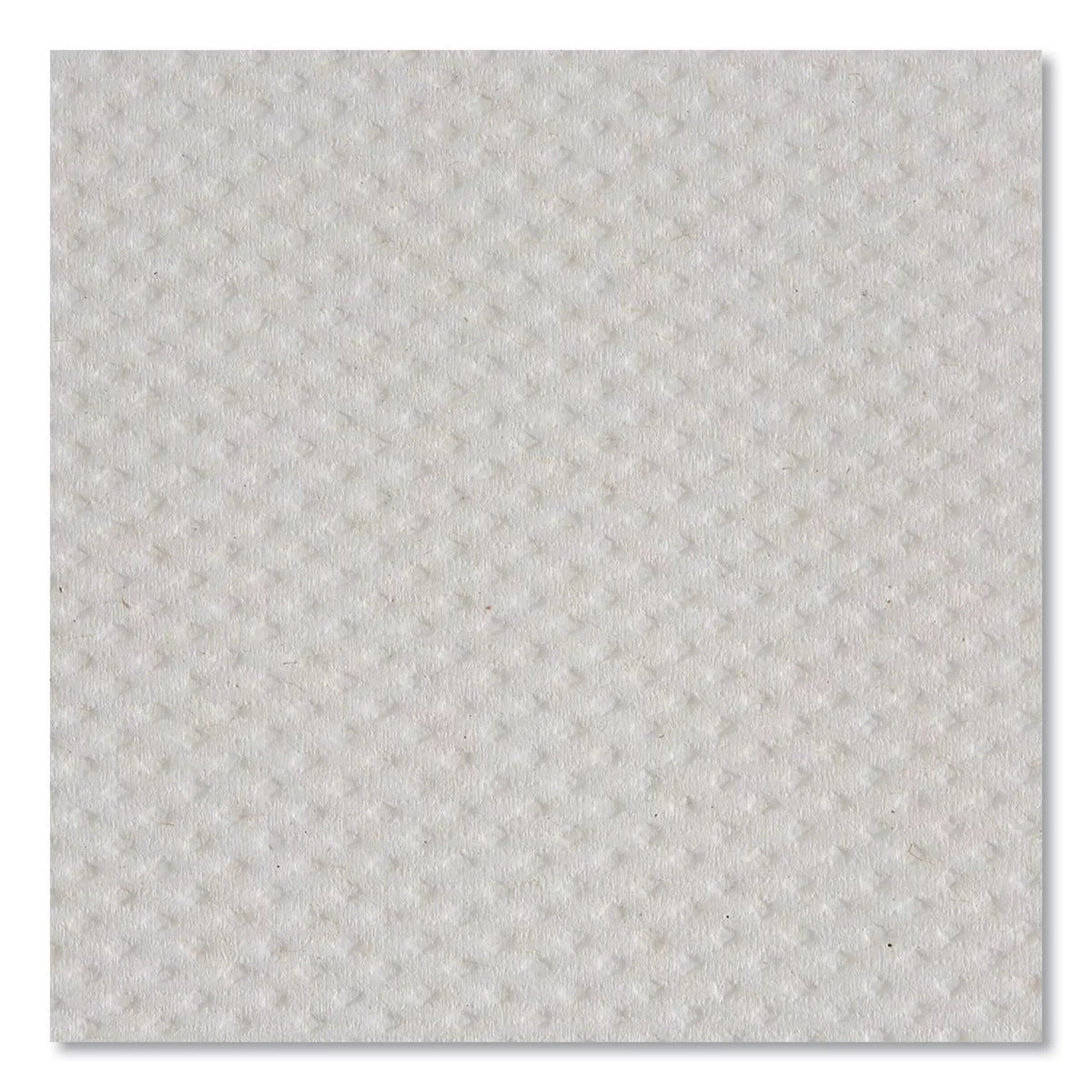 Blue Select 2-Ply Paper Towels, 12 Rolls B59880