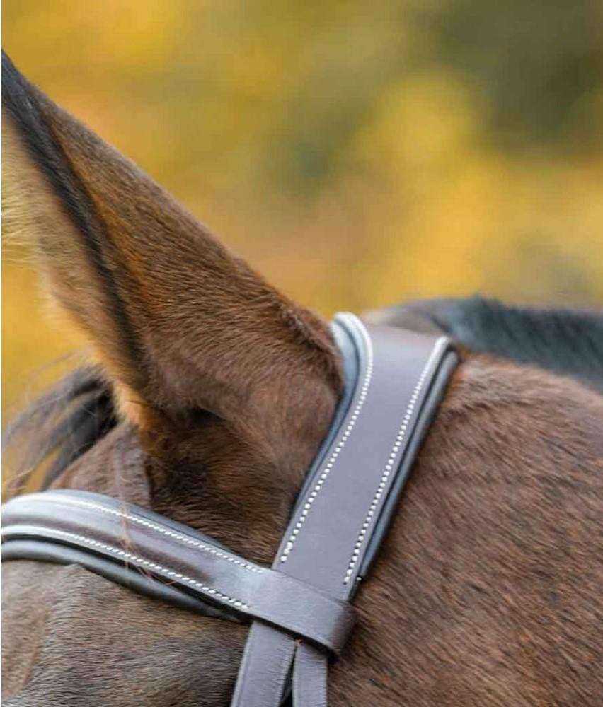 Havana Cob Bridle B9783