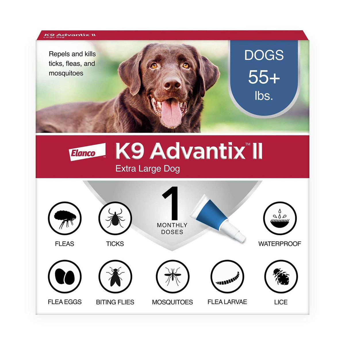 Extra Large Dogs Pet Supplies W4056