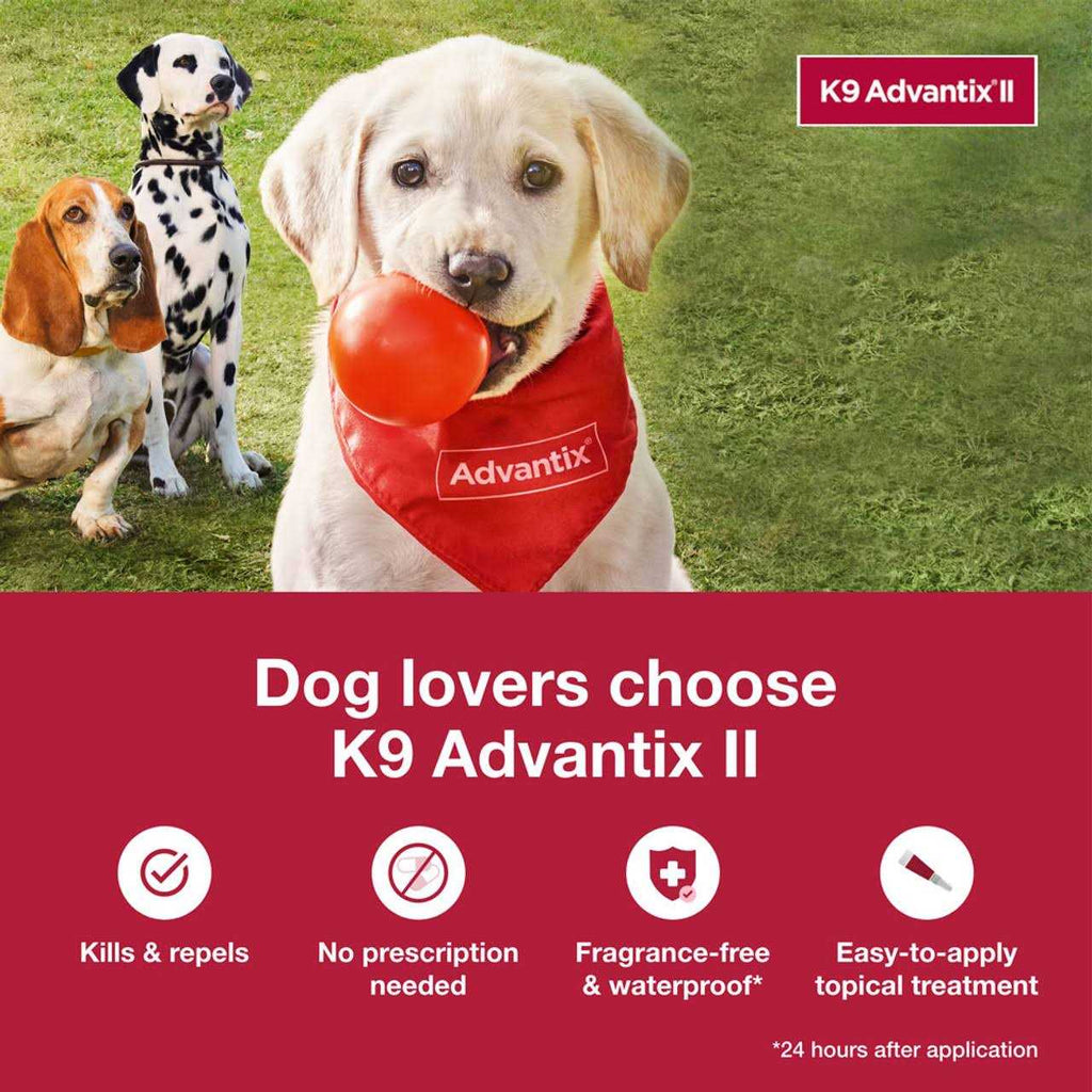 Extra Large Dogs Pet Supplies W4056