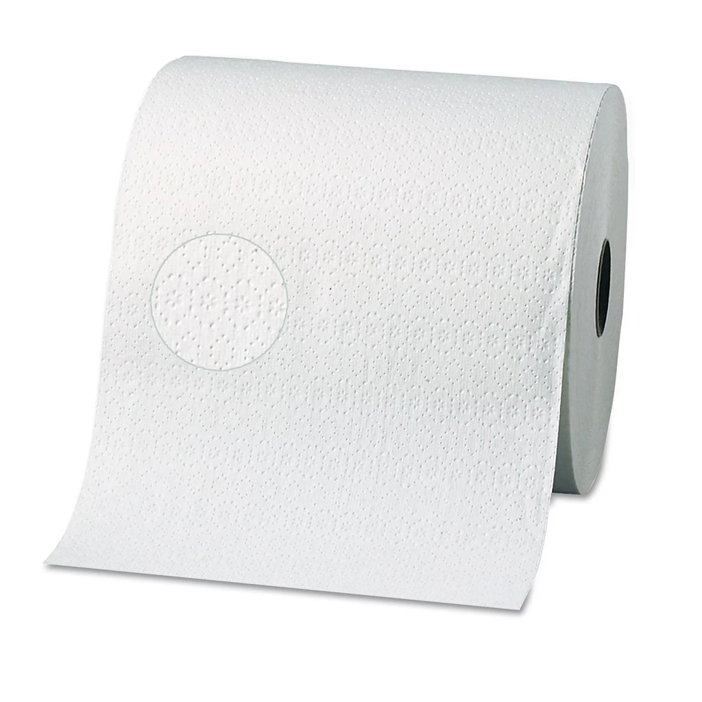 Blue Select 2-Ply Paper Towels, 12 Rolls B59880