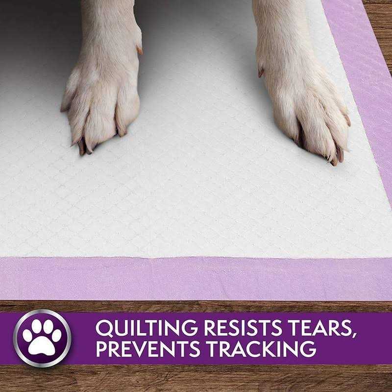 6-Layer Dog Pads V934