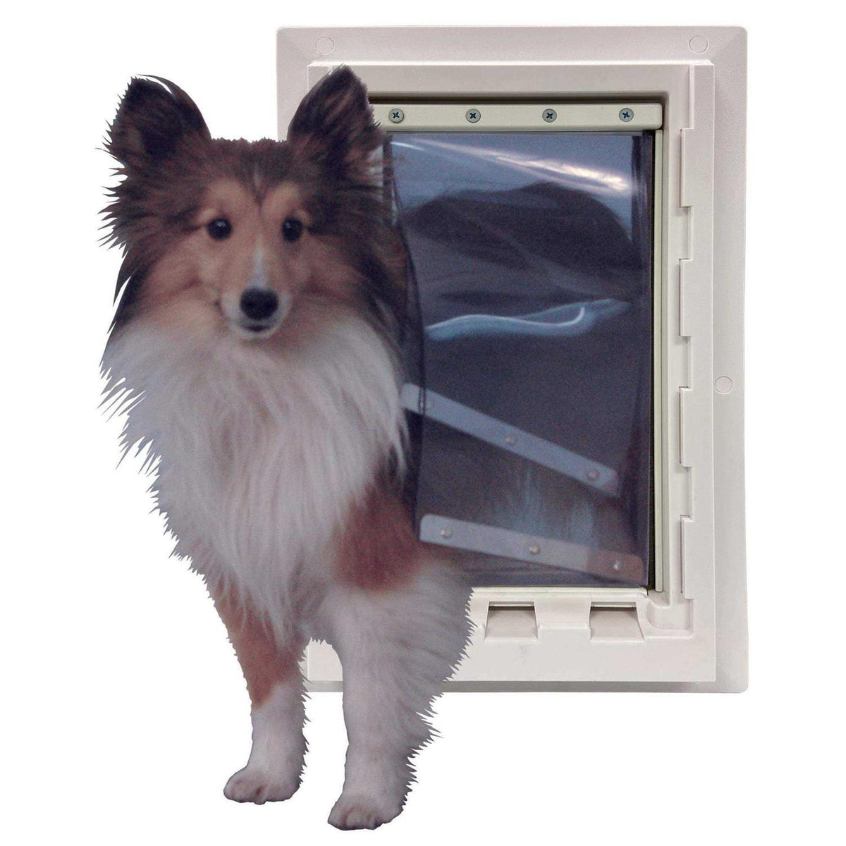 Wall Entry Dual Flap Dog Door J55012