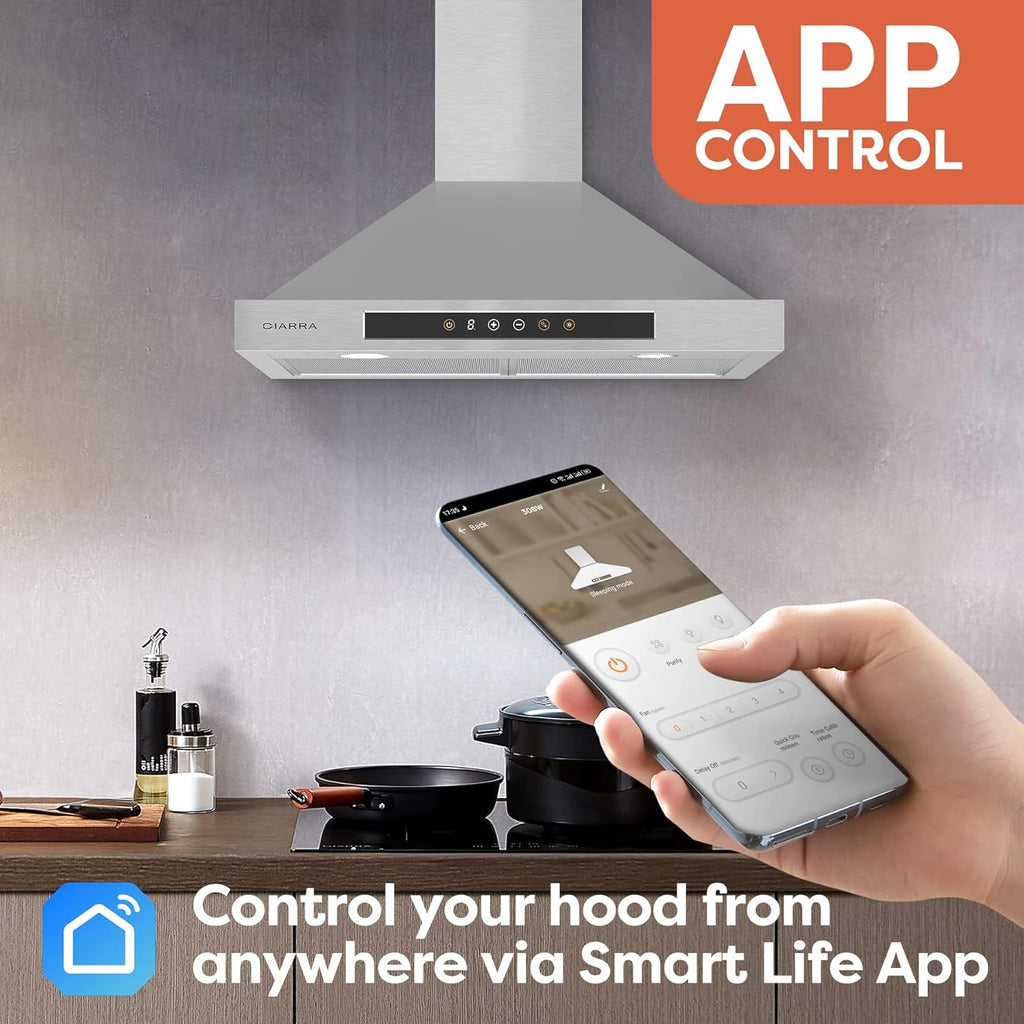 30 inch Stainless Steel Smart Range Hood V5879