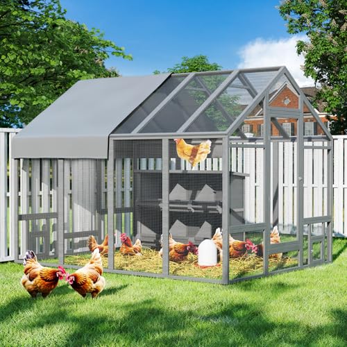 Large Wood Chicken Coop with Nesting Box and Run W731