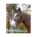 Havana Cob Bridle B9783