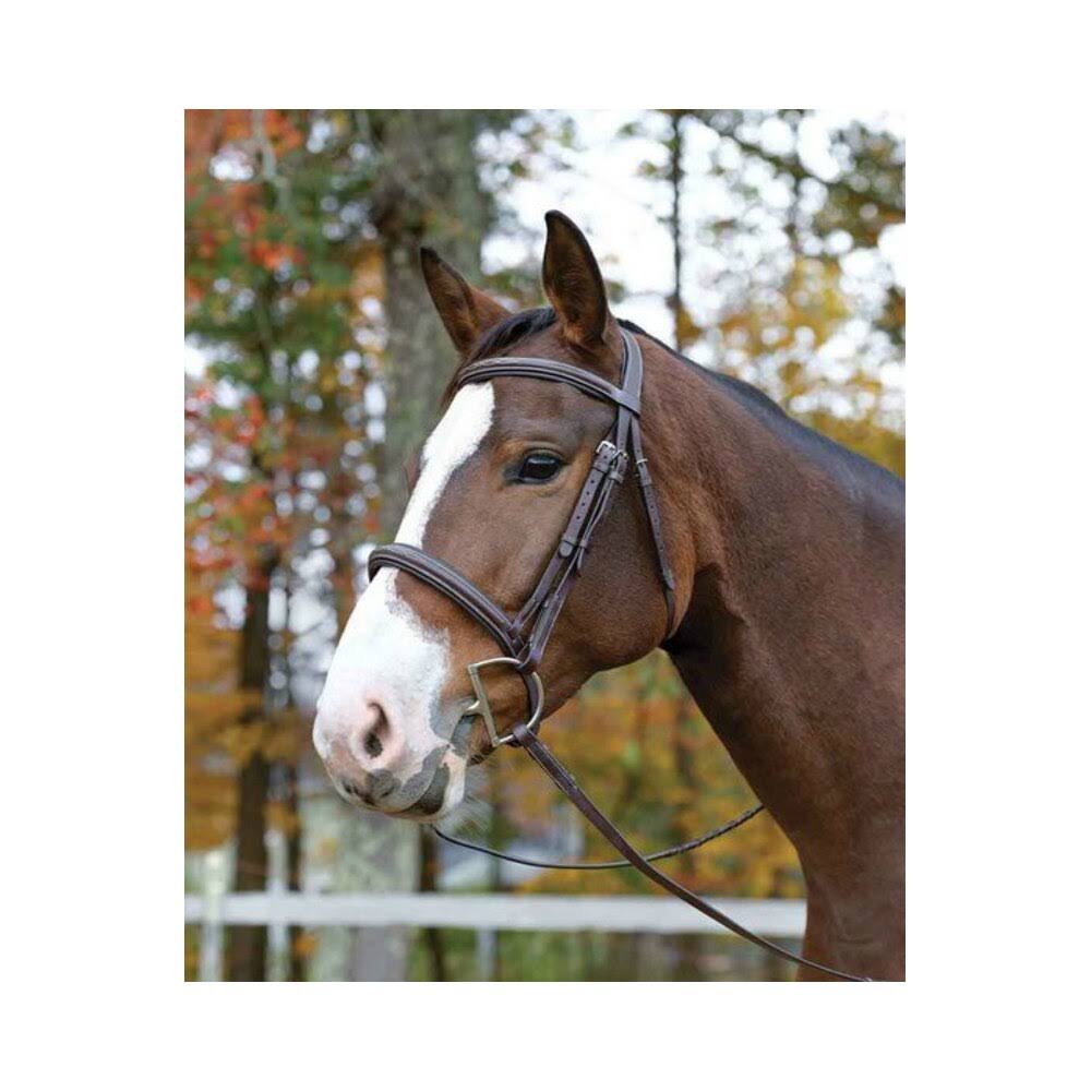 Havana Cob Bridle B9783
