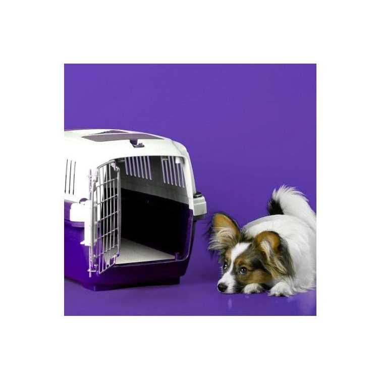 6-Layer Dog Pads V934