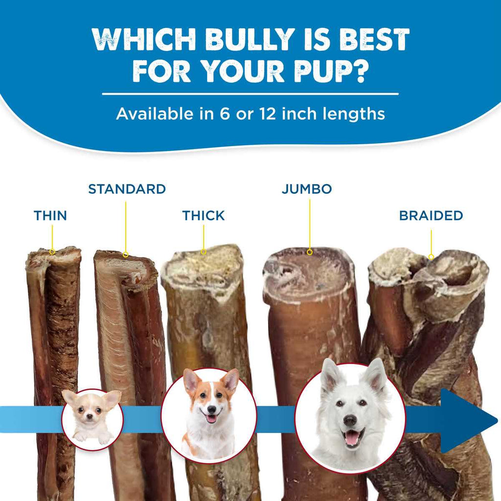 All-Natural Bully Sticks for Dogs C86559