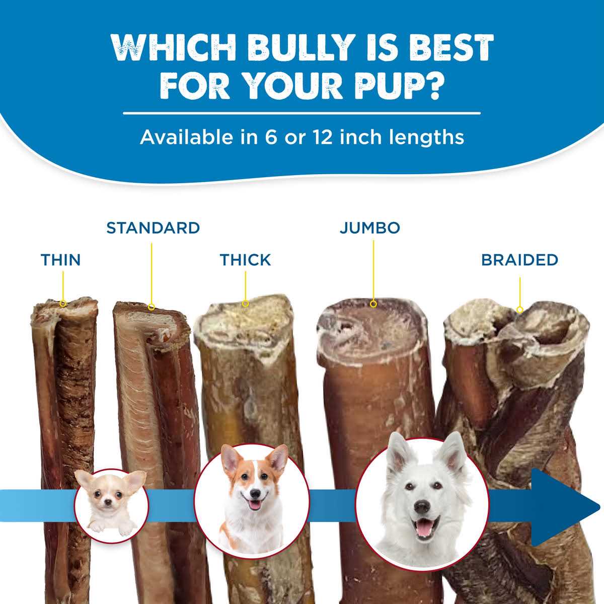 All-Natural Bully Sticks for Dogs C86559