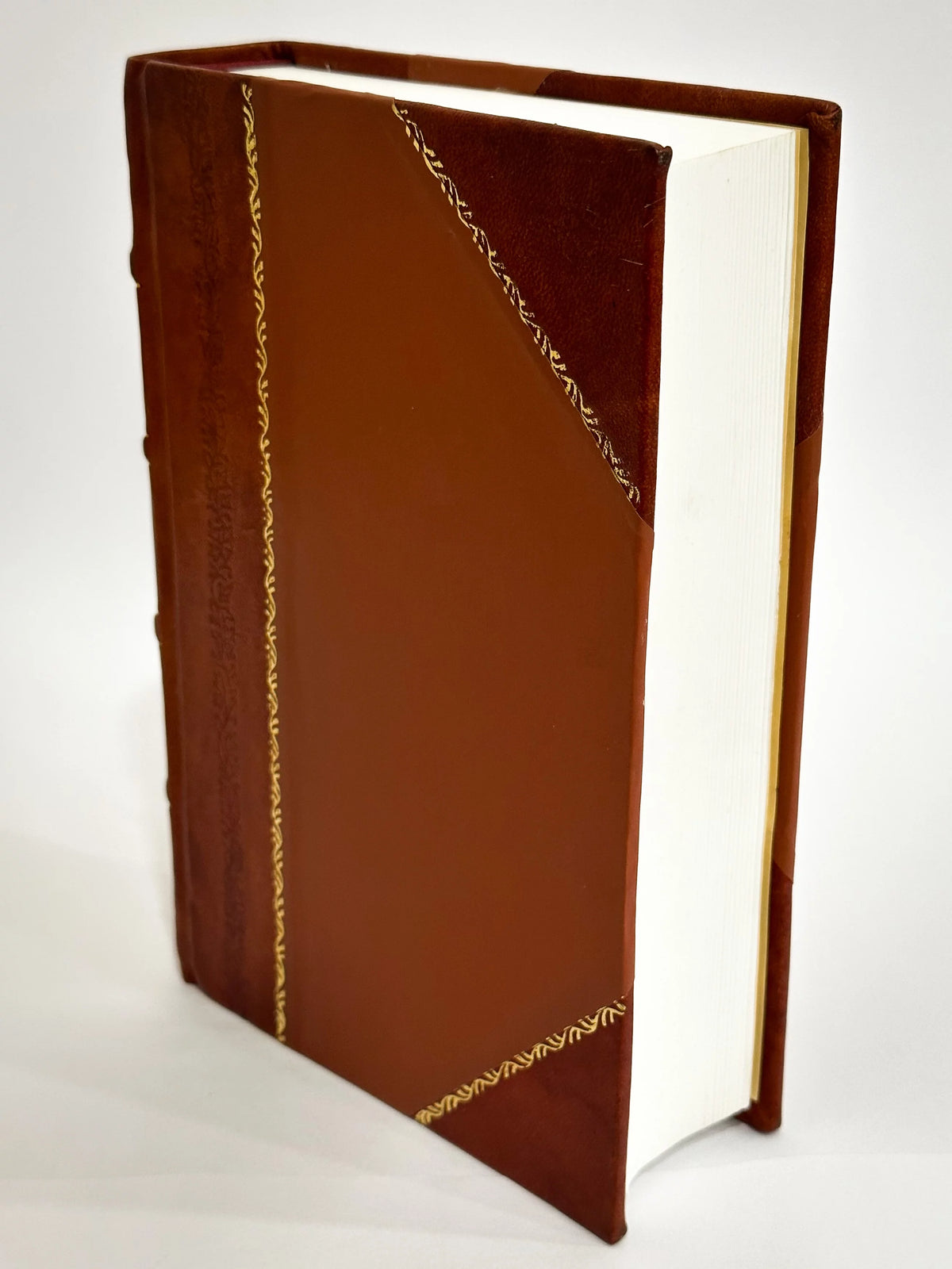 A Winter in Dublin Leather Bound U712