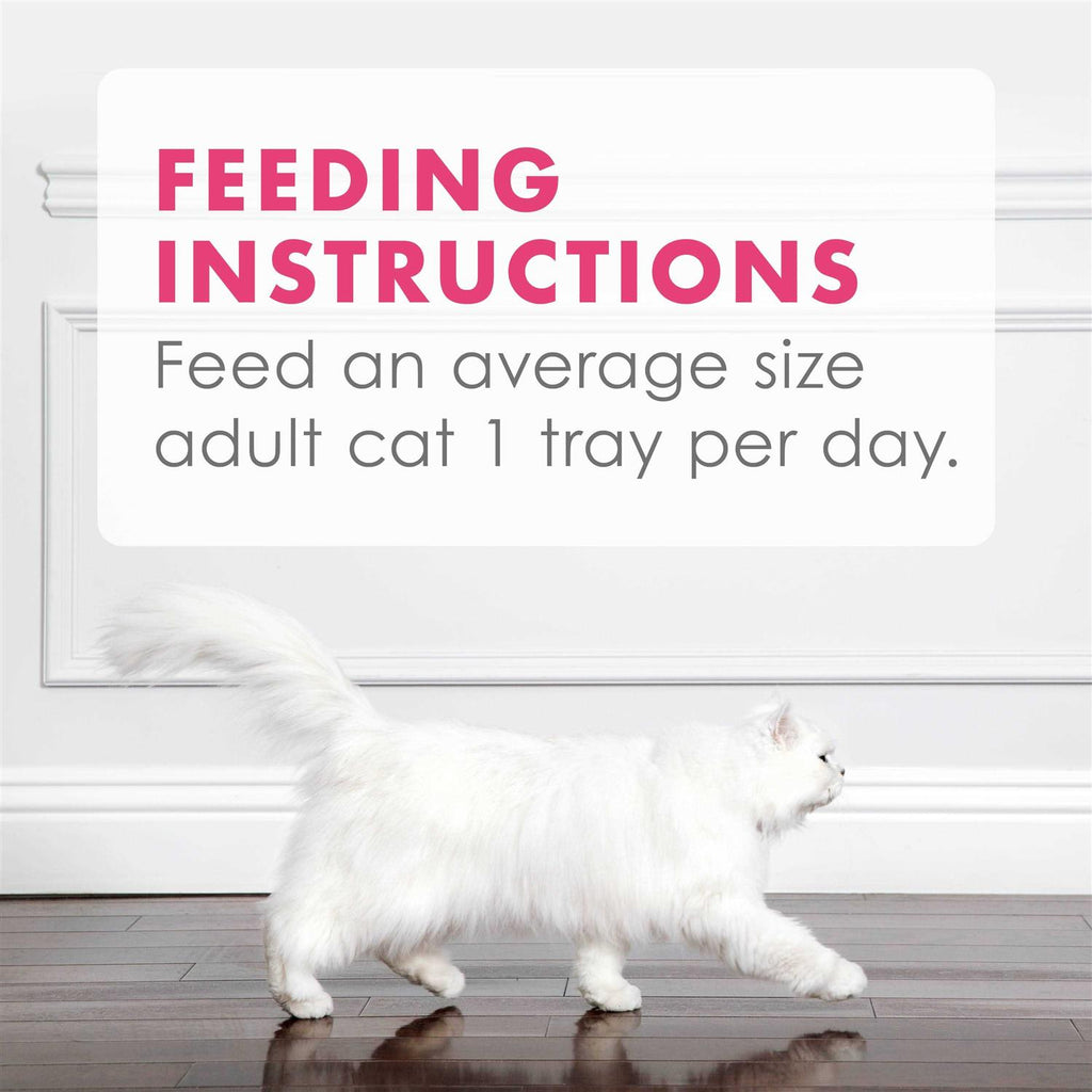 Grain Free Wet Cat Food Topper Salmon Appetizer H5552