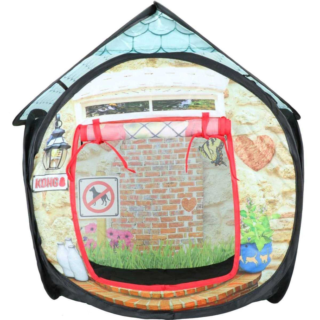 Cat Bungalow N893181
