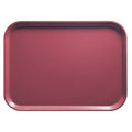 37 cm x 53 cm Tray J74923