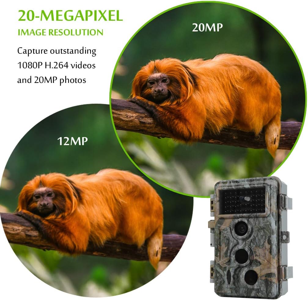 20MP 1080P Night Vision Motion Detection IP66 Waterproof Trail & Hunting Camera Pack of 2 P92139