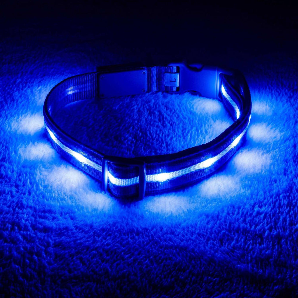 LED Light Up Dog Collar P15336