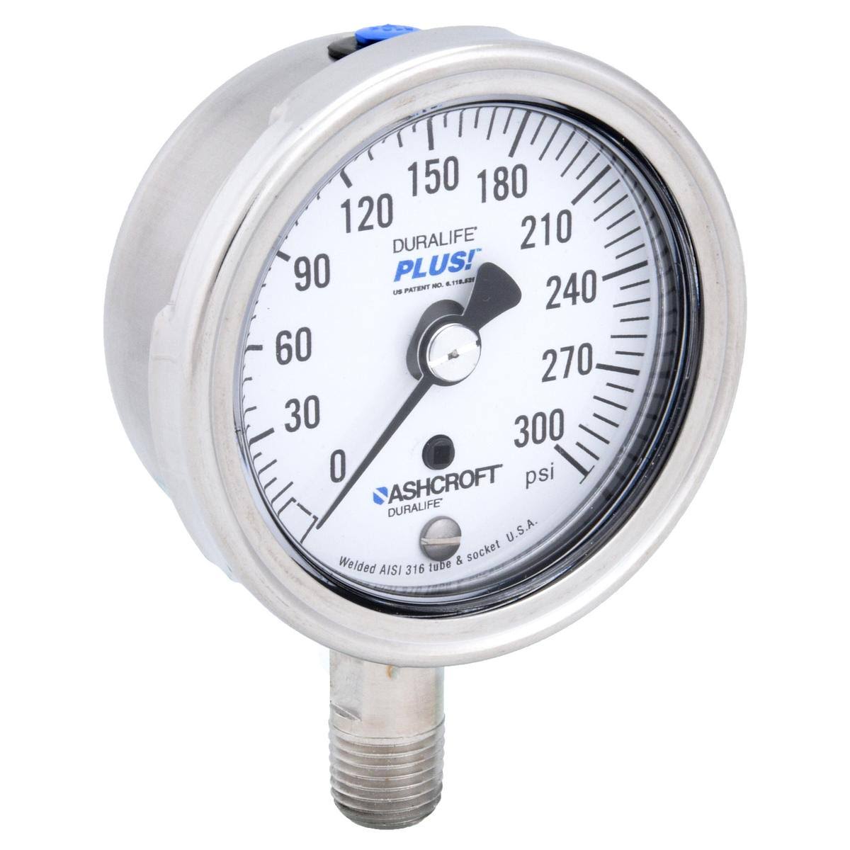 Pressure Gauge, 0 to 300 psi, 2-1/2in Y950