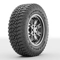 All-Terrain Tire Q314298