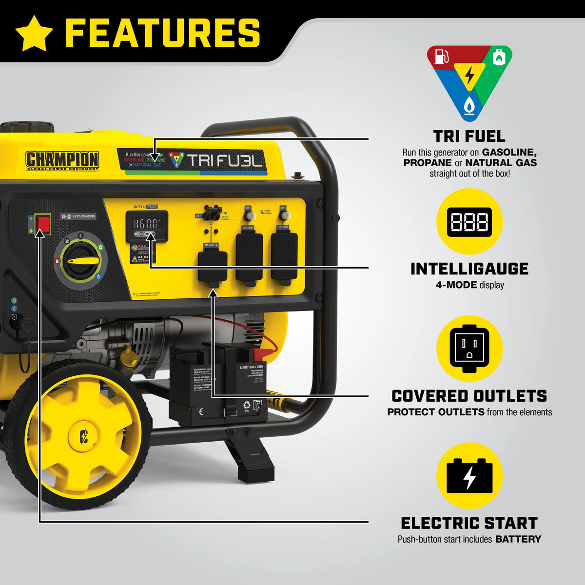 6500-Watt Tri-Fuel Portable Generator with Electric Start E468011