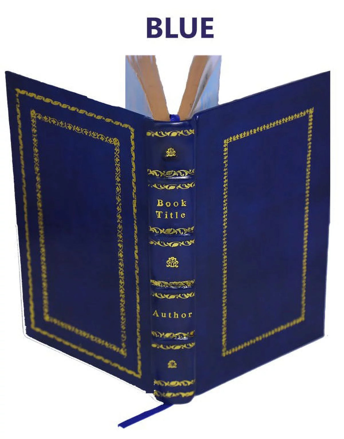 Histoire naturelle de la pyrite Premium Leather Bound N6453