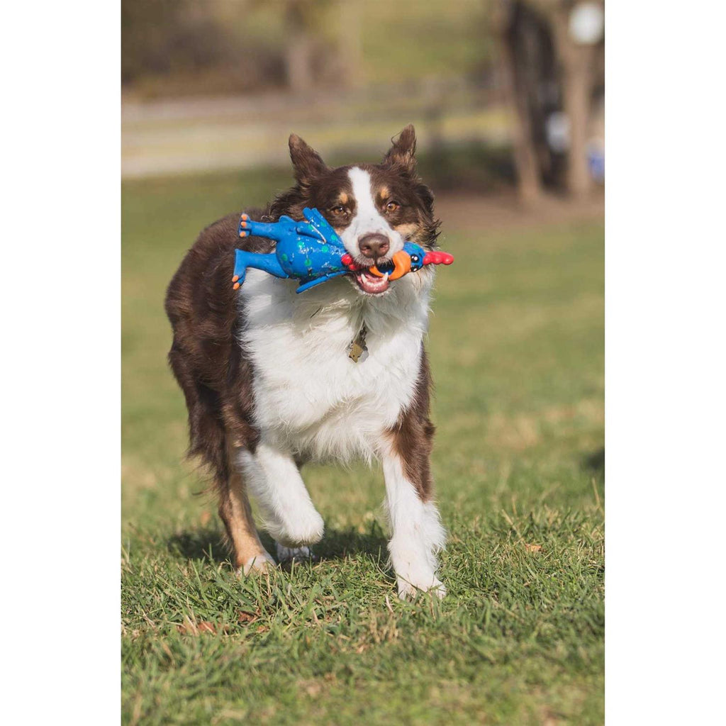 Chicken Dog Toy L52544