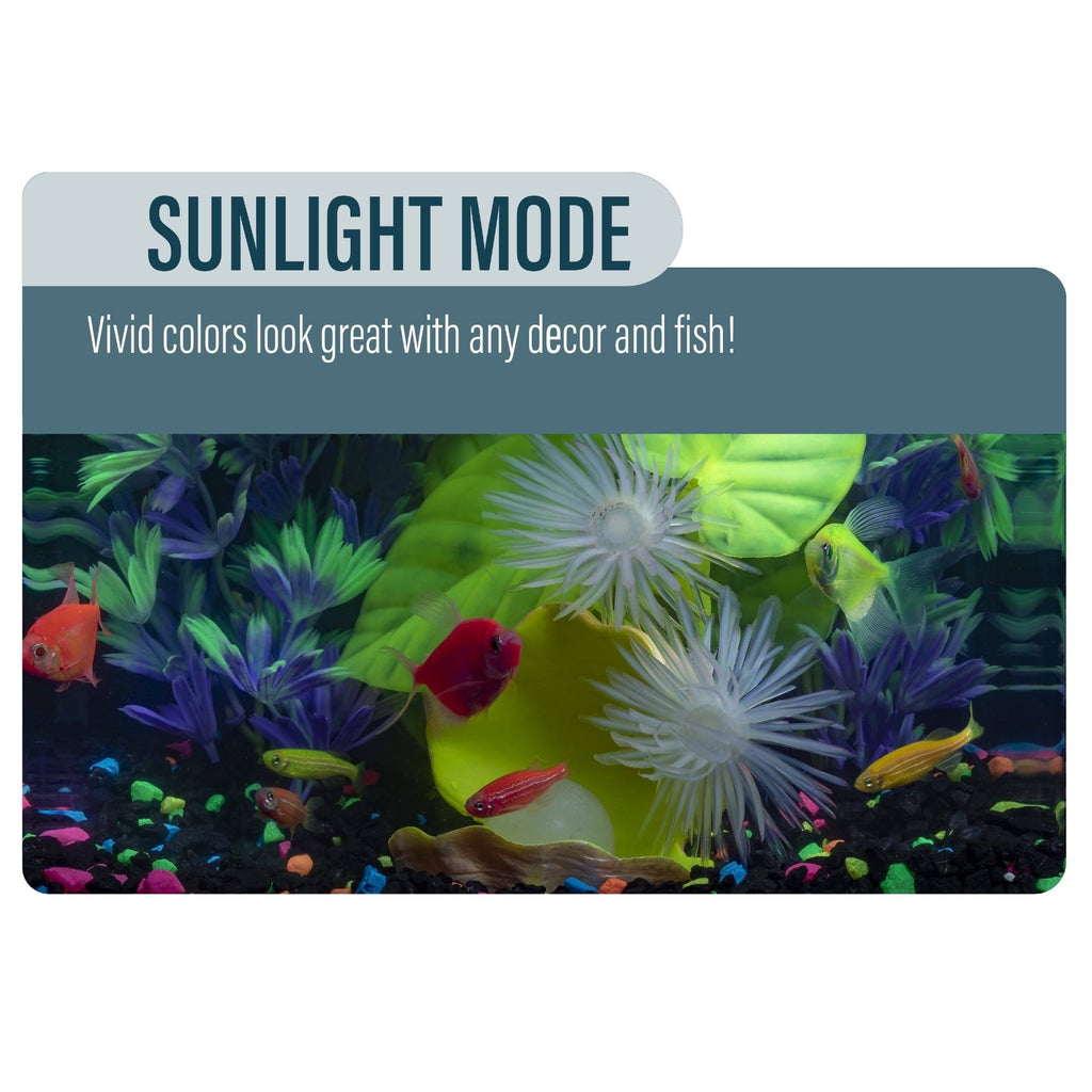 Betta Glass Aquarium Kit 3gal S4509
