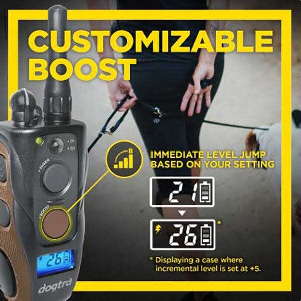 Dogtra 1902S Handsfree Plus N1060