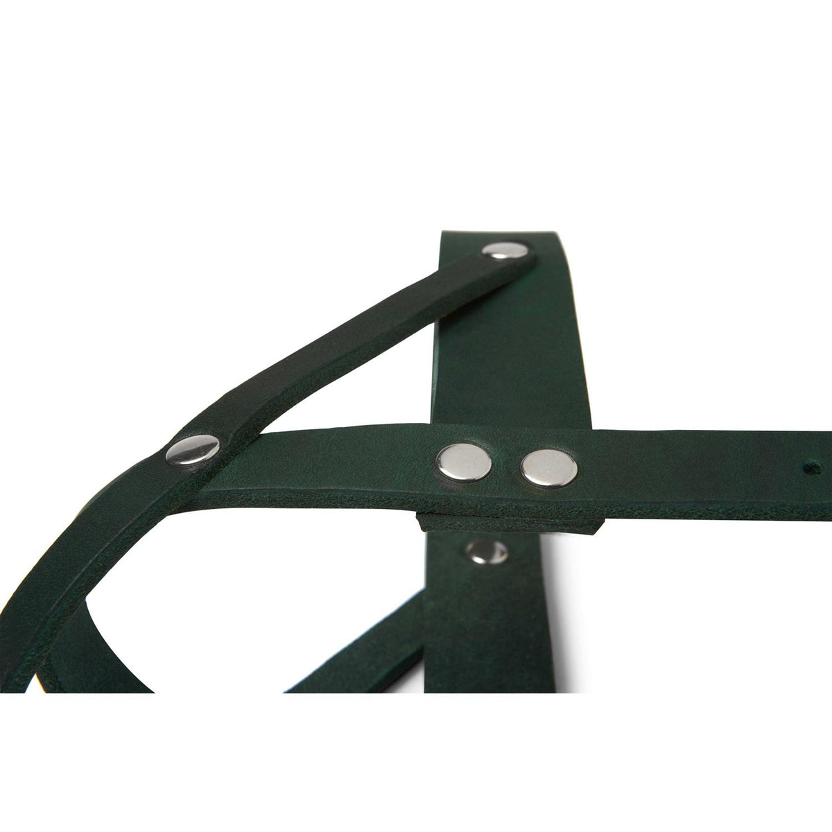 Leather Dog Harness N120