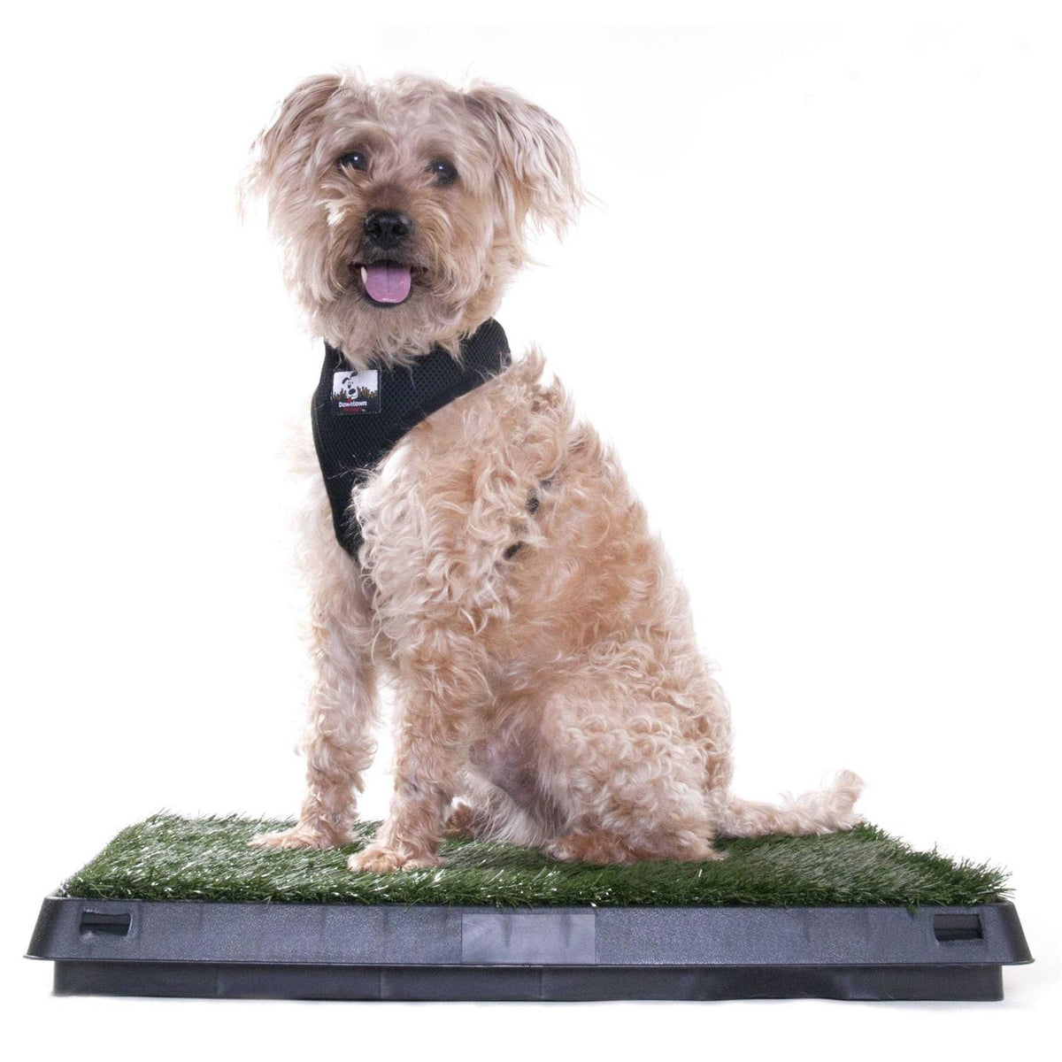 Dog Grass Pad with Tray G91280