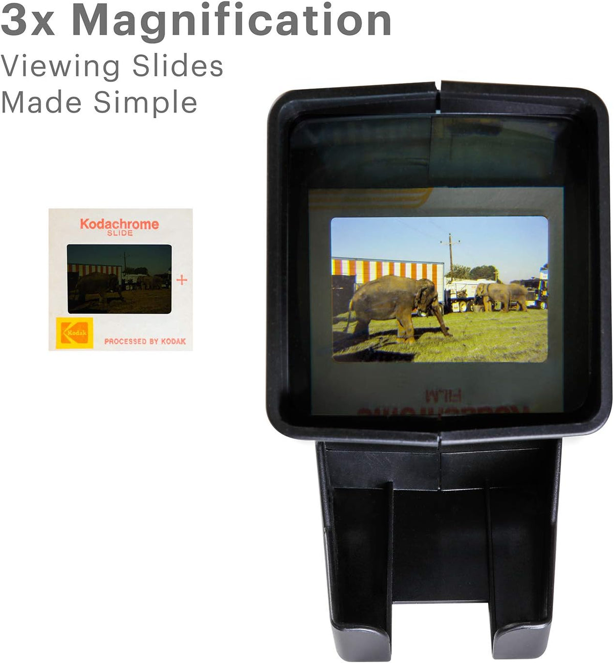 35mm Slide and Film Viewer T722018