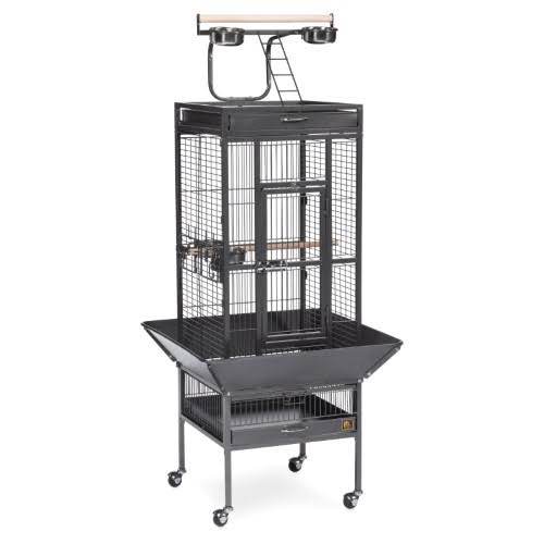 Black Wrought Iron Bird Cage I7489