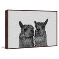 Llama Couple Framed Giclee Print I730